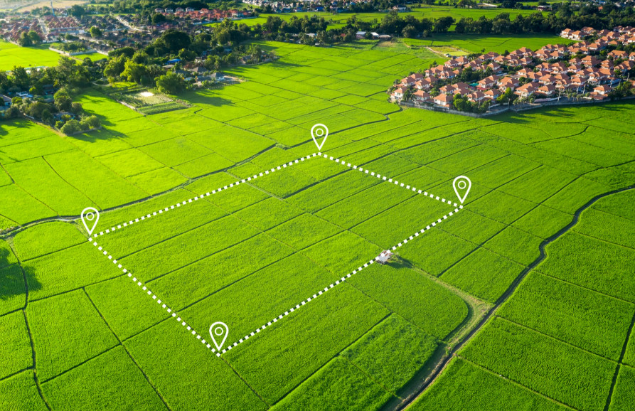 TP.HCM đề xuất quy định mới tách thửa, hợp thửa đất: Siết hạ tầng, cân bằng quyền lợi người dân