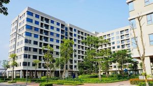 TP.HCM tăng tốc nhà ở xã hội 2026: Hàng chục nghìn căn hộ sắp ra mắt, cơ hội an cư cho người thu nhập thấp