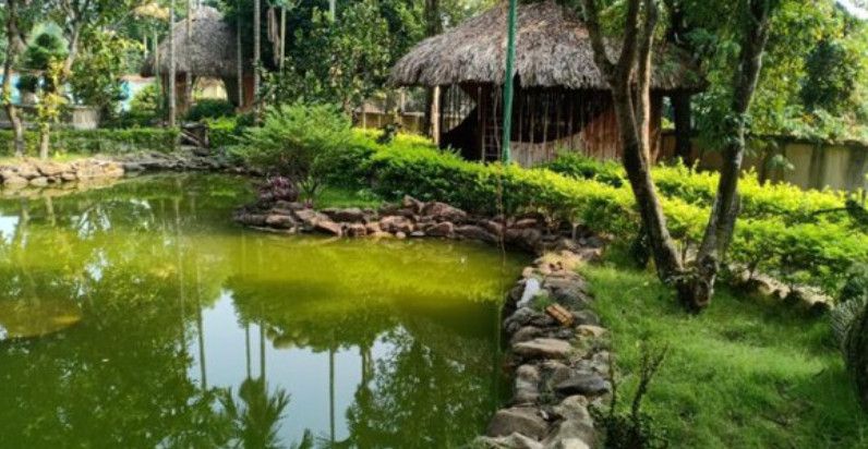 Cách xác định đất vườn, ao gắn liền đất ở và quy định tính tiền sử dụng đất mới nhất năm 2025