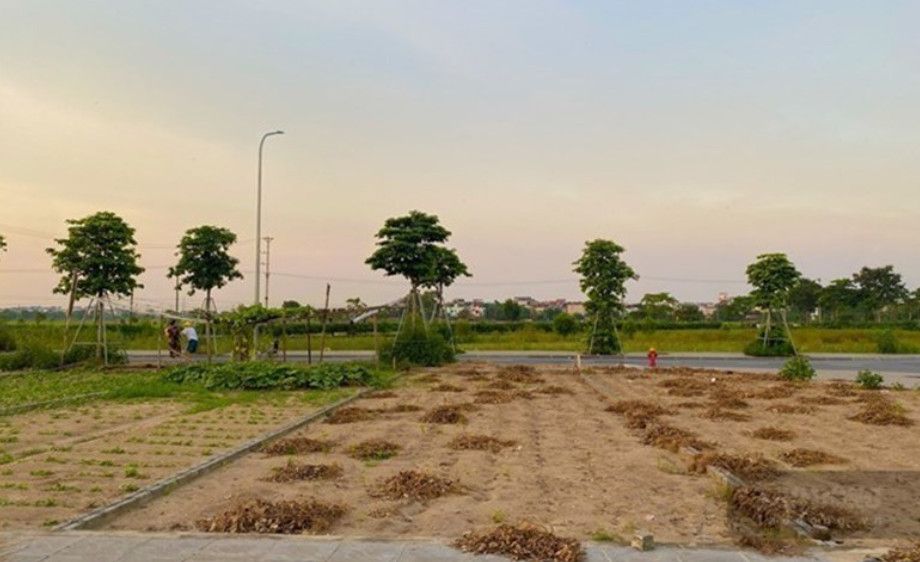 Cấp Giấy chứng nhận theo hiện trạng sử dụng đất: Có cần chuyển đất ao sang đất ở? Giải đáp chi tiết theo quy định mới