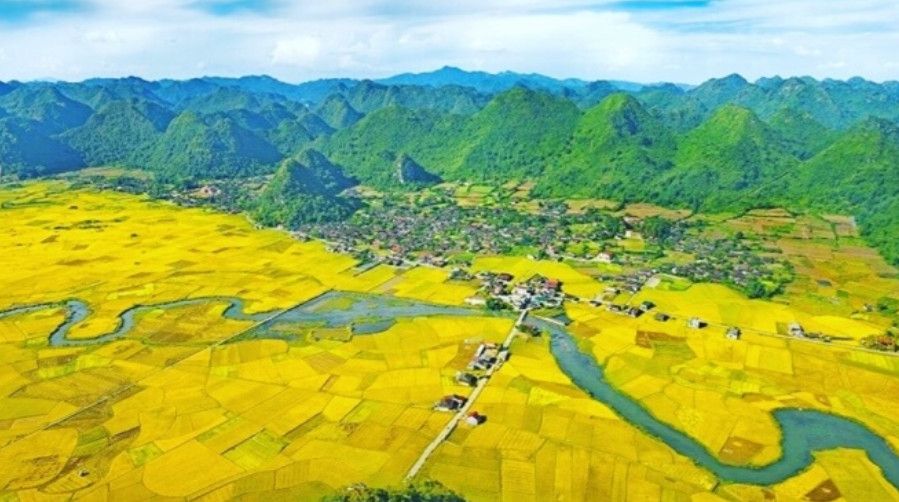 Chuyển mục đích sử dụng đất có bắt buộc phải tách thửa không? Giải đáp mới nhất từ Bộ Tài nguyên và Môi trường