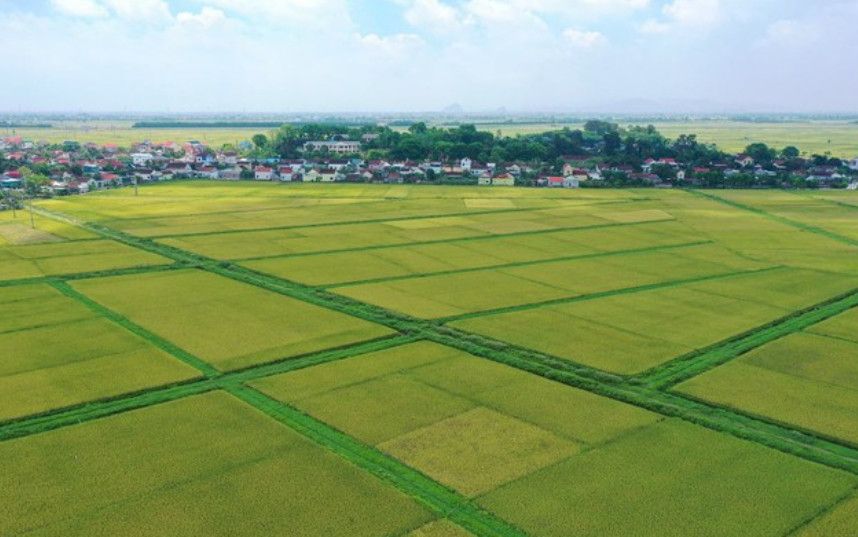 Có được thừa kế đất nông nghiệp đã hết thời hạn sử dụng? Quy định mới nhất người dân cần biết