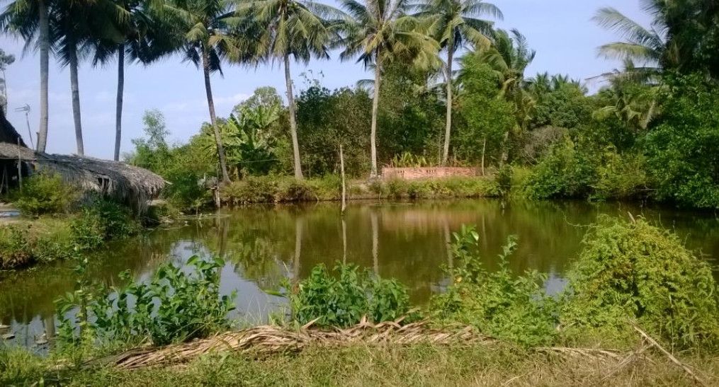 Đất ao có được xây nhà không? Điều kiện cấp sổ đỏ và chi phí chuyển mục đích sử dụng đất mới nhất