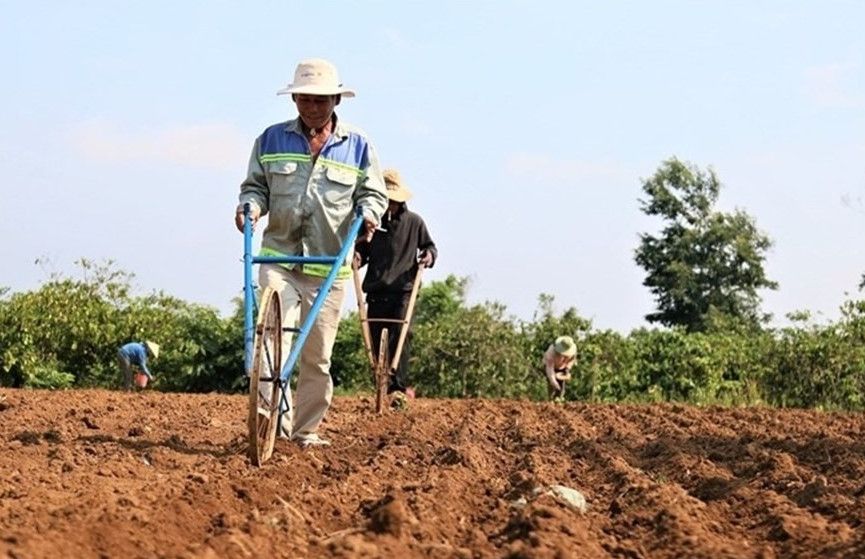 Đất nông nghiệp có được xây nhà không 2026? Quy định mới nhất và cách hợp thức hóa