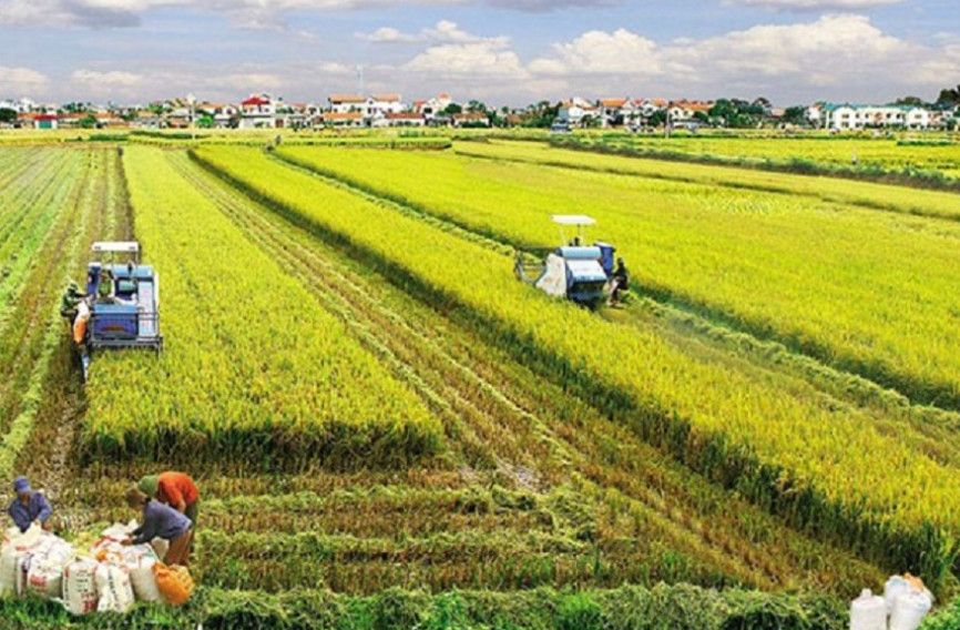 Đất nông nghiệp có được xây nhà không 2026? Quy định mới và cách chuyển đổi đúng luật