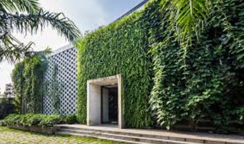 Nên Xây Nhà Hướng Nắng Hay Hướng Bóng Râm? Phân Tích Phong Thủy & Khoa Học Chuẩn Nhất