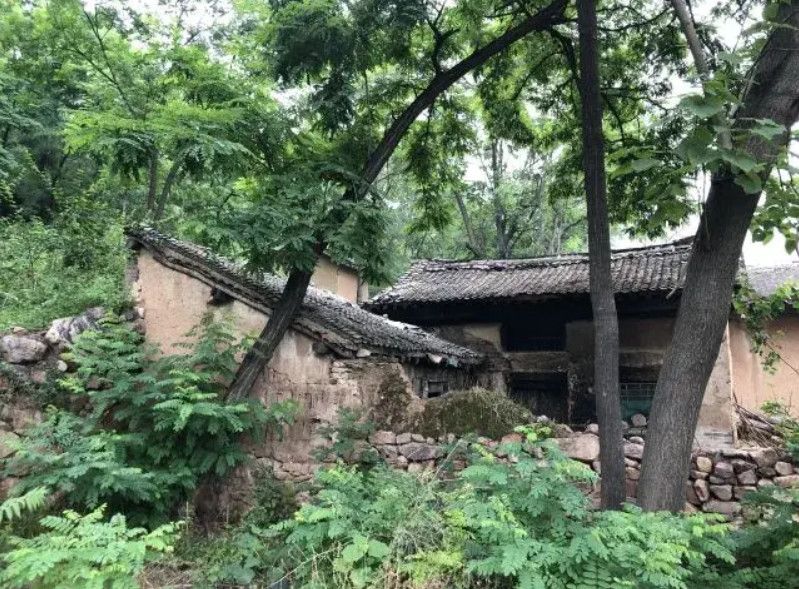 Nhà Thuần Âm Là Gì? Giải Mã Quan Niệm Phong Thủy “Nhà Thuần Âm Có Góa Phụ Quản Lý”