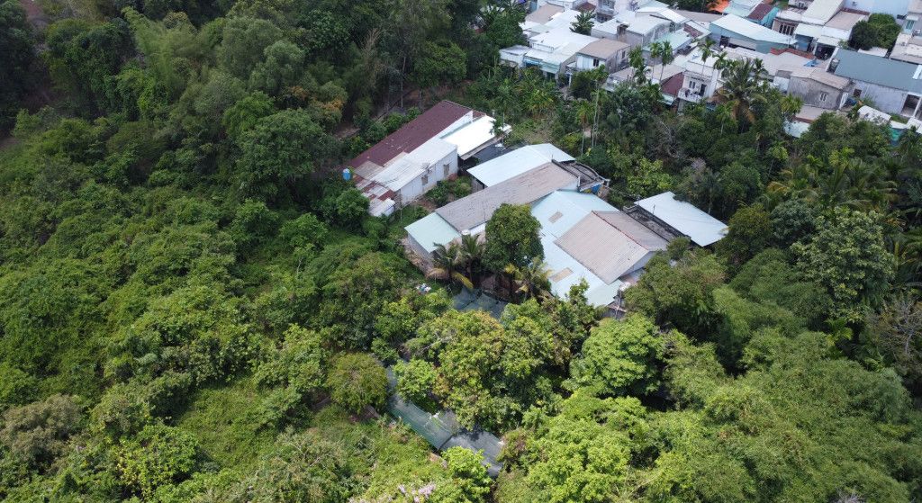 So sánh dự án treo ở Mỹ và Việt Nam: Góc nhìn toàn diện về bất động sản và bài học quản lý