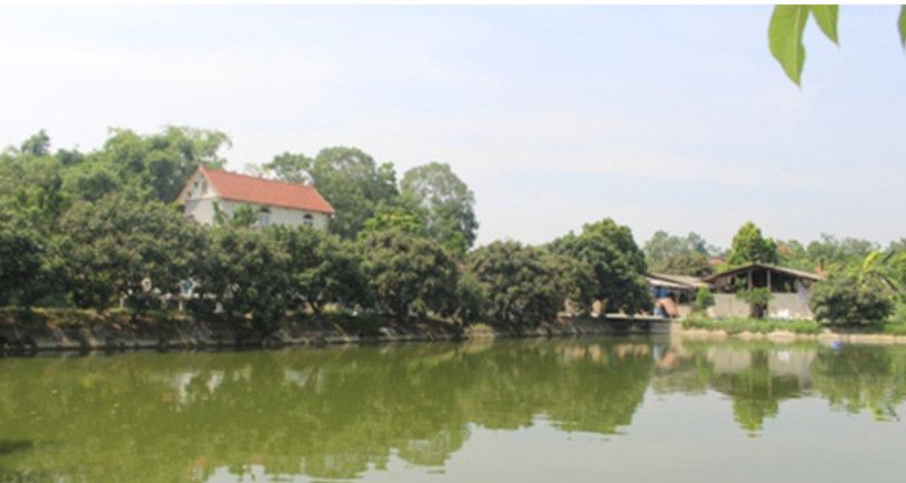 Thế nào là đất vườn, ao? Cách xác định theo Luật Đất đai và giải đáp chi tiết từng trường hợp