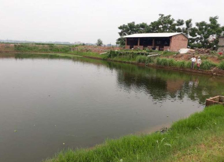 Thời điểm tính tiền sử dụng đất: Áp dụng giá năm 2003 hay giá hiện tại?