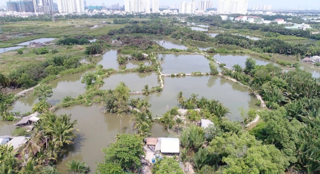 TP.HCM loại 33 khu đất khỏi danh mục thí điểm nhà ở thương mại: Hàng trăm hecta “tắc” vì pháp lý