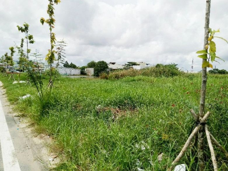 Vụ tranh chấp đất tại Cà Mau: Chủ đất kiện quyết định thu hồi vì bị “đổi tên” người sử dụng