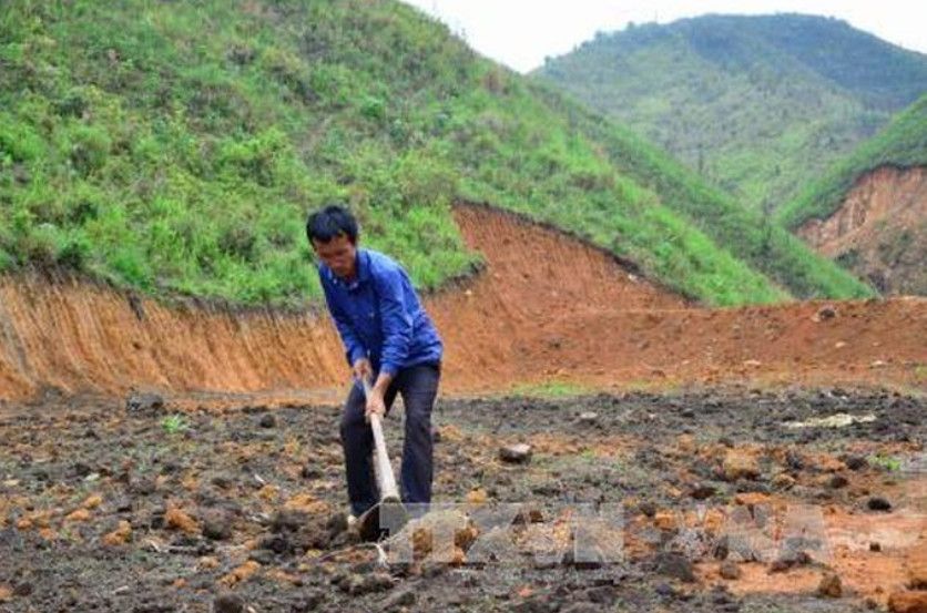 Xét cấp sổ đỏ đất khai hoang theo quy định nào? Cập nhật chi tiết pháp lý mới nhất