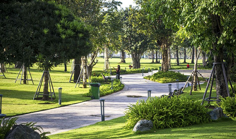 Bất động sản cạnh công viên: “Tầm nhìn xanh vĩnh cửu” trở thành tài sản đắt giá giữa lõi đô thị Hà Nội