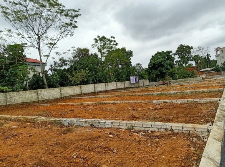 Căn cứ xác định diện tích đất ở và tách thửa mới nhất năm 2026: Người dân cần biết gì?