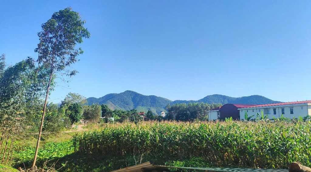 Chuyển đất trồng lúa sang đất ở nông thôn: Điều kiện, thủ tục mới nhất theo Luật Đất đai 2024