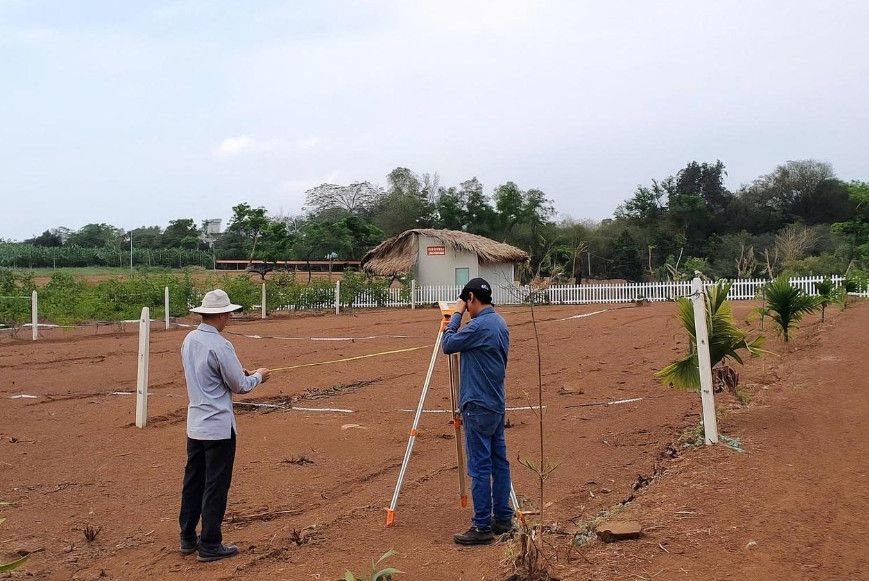 Chuyển mục đích sử dụng đất từ đất trồng cây lâu năm sang đất ở: Người dân có được chuyển đủ hạn mức 300m²?