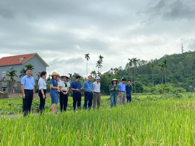 Doanh nghiệp nhận chuyển nhượng đất nông nghiệp: Có bắt buộc lập phương án sử dụng đất?