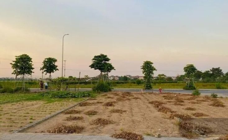 Hồ sơ miễn, giảm tiền sử dụng đất cho người có công: Quy định mới và thủ tục cần biết