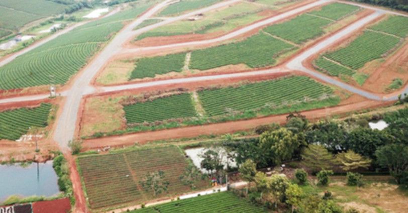 Không được xác định lại diện tích đất ở sau khi nhận thừa kế: Hiểu đúng quy định để tránh rủi ro pháp lý