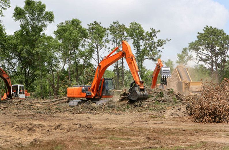 Làm thế nào để xác nhận nguồn gốc đất trước năm 1980? Điều kiện để được công nhận đất ở và cấp sổ đỏ mới nhất