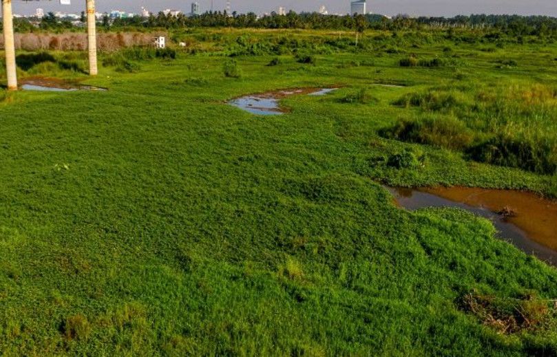 Sân golf cồn ấu 18 lỗ gần 1.140 tỷ đồng chưa thể khởi công: Cần Thơ gấp rút gỡ vướng pháp lý