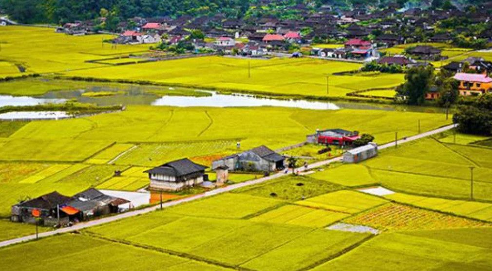 Chuyển đất nông nghiệp sang đất ở theo Luật Đất đai 2024: Bộ Nông nghiệp và Môi trường hướng dẫn cách xác định đất trong khu dân cư