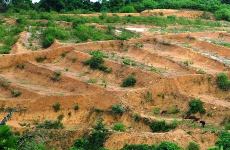 Đề xuất đánh thuế cao đất bỏ hoang: Nhà đầu tư “ôm đất chờ tăng giá” sẽ phải thay đổi?