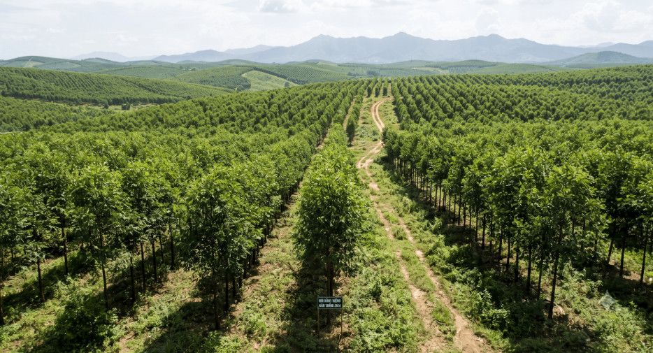 Hà Nội siết quản lý hơn 8.385 ha đất nông, lâm trường, phấn đấu hoàn tất bàn giao trước ngày 15/9