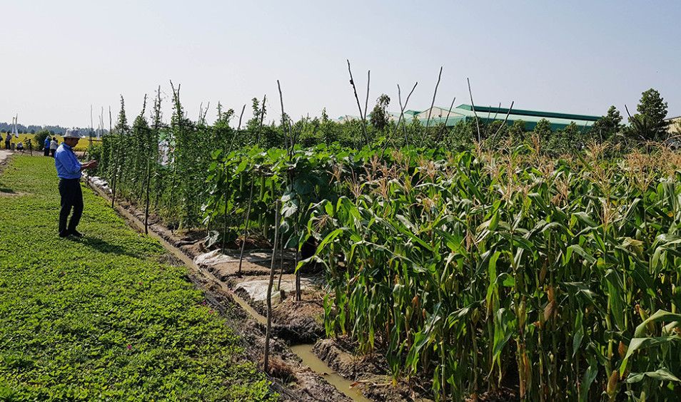Khơi thông nguồn lực đất đai tại An Giang: Hơn 7.600 vụ việc được tòa án giải quyết, gần 21.000 tỷ đồng giá trị đất được giải tỏa