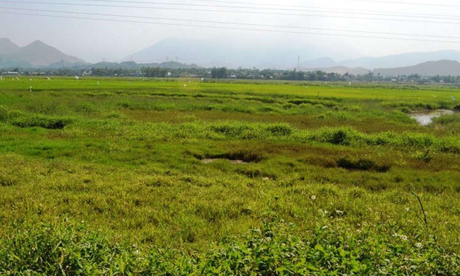 Đất bỏ hoang, nhà chung cư có thời hạn: Những điểm đáng chú ý trong dự thảo Luật Đất đai và Luật Nhà ở sửa đổi