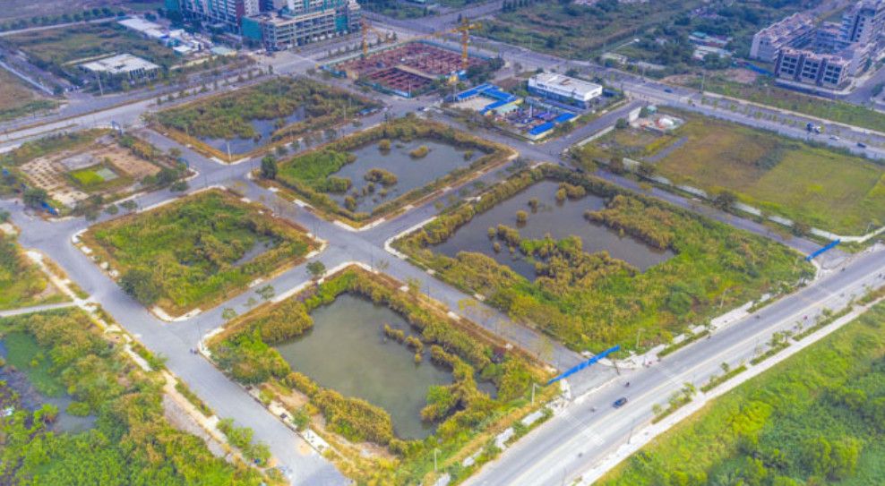Đấu giá 4 lô đất vàng Thủ Thiêm: Những trường hợp bị mất tiền đặt trước, truất quyền tham gia