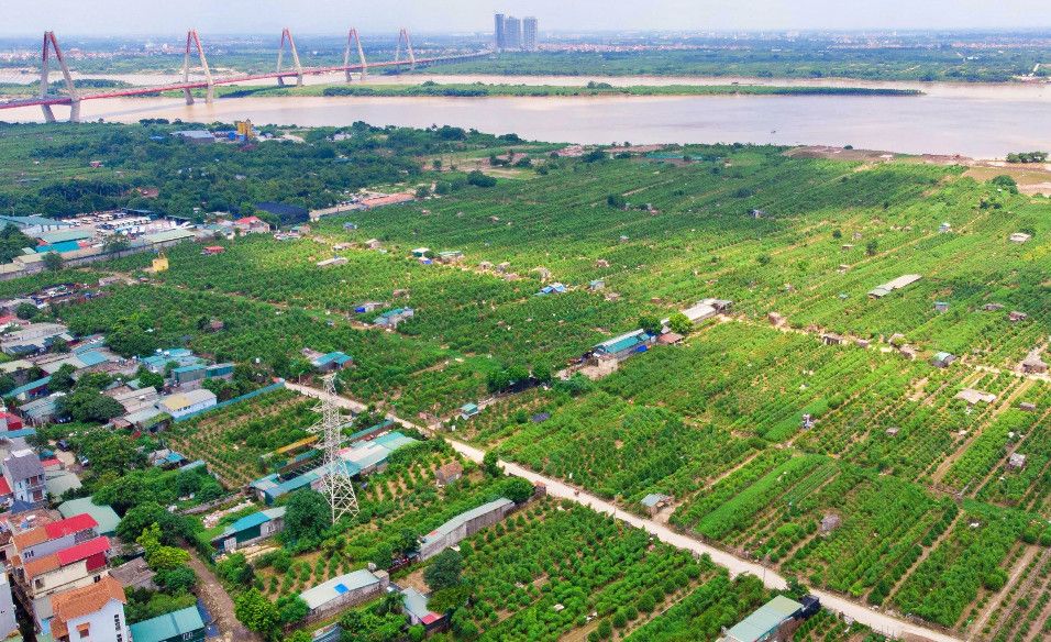Vướng mắc khi tra cứu thuế đất phi nông nghiệp: Cần đồng bộ dữ liệu, minh bạch nghĩa vụ